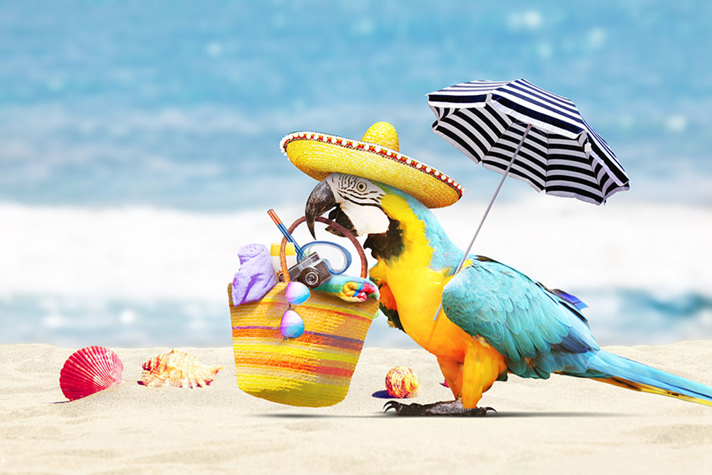 Stellenvermittlung - Stellenvermittler - Stellen­vermittlungs­büro - Stellenangebote - Personaldienstleister - Fachkräfte finden - Arbeitnehmer finden - Führungskräfte finden - Job finden - HR Beratung - Outplacement - Bewerbungen schreiben - Bewerbungscoaching - Steck HR: innovative Personalberater aus Möhlin - wir vermitteln keine Profile, wir vermitteln Menschen - jetzt beraten lassen! Job placement - Job placement agent - Job placement agency - Job vacancies - Personnel service provider - Finding skilled professionals - Finding employees - Finding executives - Finding a job - HR consulting - Outplacement - Writing applications - Application coaching - Steck HR: innovative personnel consultants from Möhlin - we don't just match profiles, we match people - get advice now!